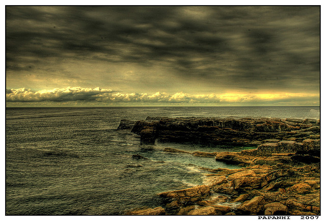 La paranoia te paraliza…