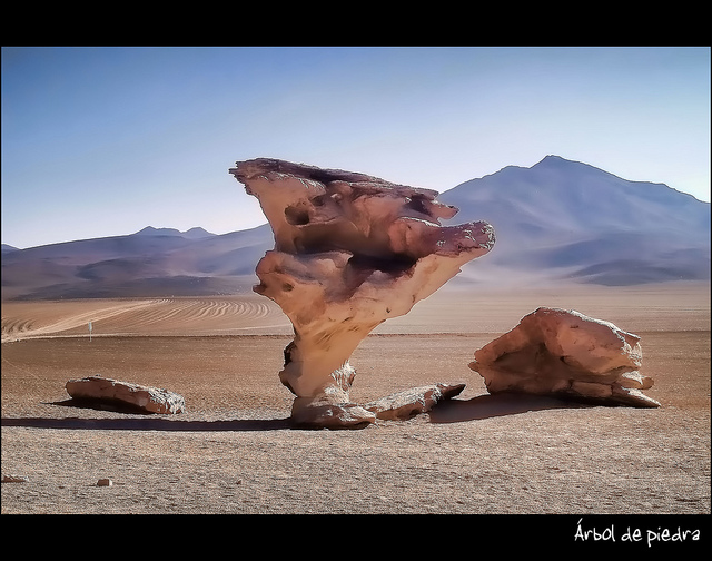 ¿Siempre tropiezas con la misma piedra?