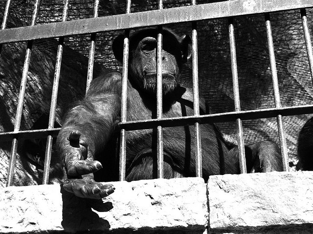 ¿Atrapado por tu pasado?