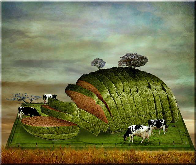 ¿Puedes imaginarte algo más extraño?