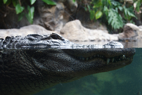 ¿Si no lo sabes, porqué lo haces?