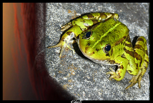 ¿Tus patrocinios deben ser inmaculados?