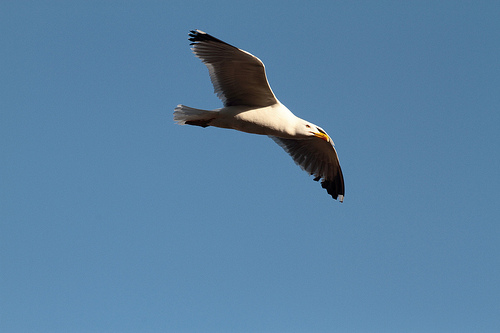 ¿Qué vale más que tu vida?