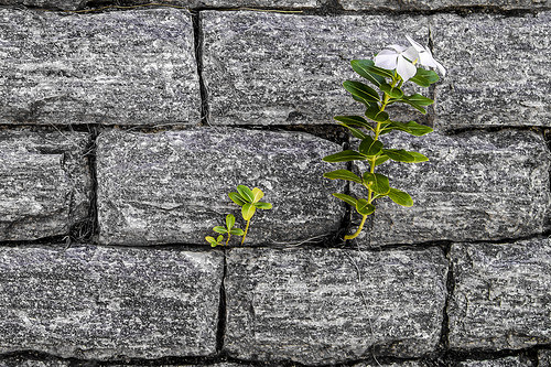 ¿Qué son realmente 100 kilómetros? (7×10)