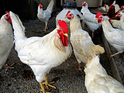 ¿Te descontrolas navegando entre normas?