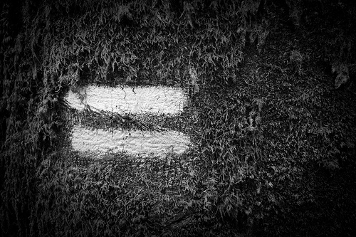 ¿Estás obligado a no perder?