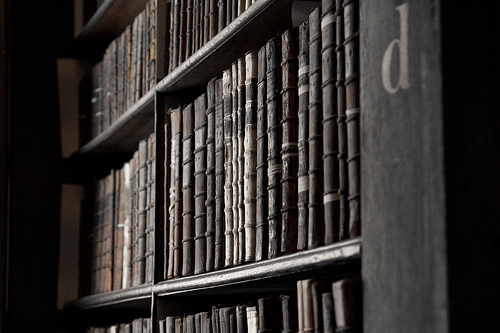 ¿Estudias antes de ir a jugar?