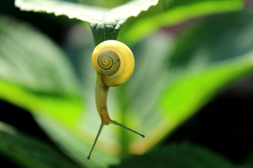 Un torneo de tres vértices (3 de 3)