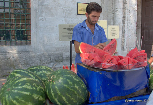 Manual de ventas para principiantes (volumen 1)