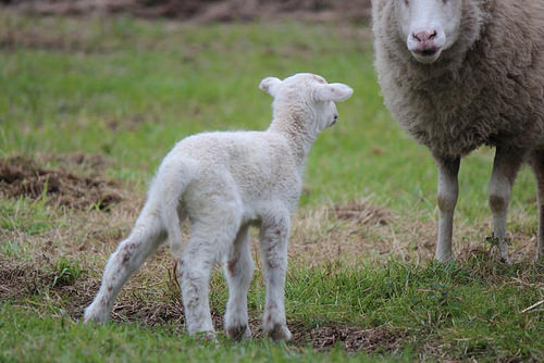 ¿Tienes un plan aunque seas pequeño?