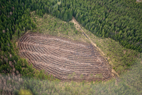 ¿Encuentras algo en la derrota?