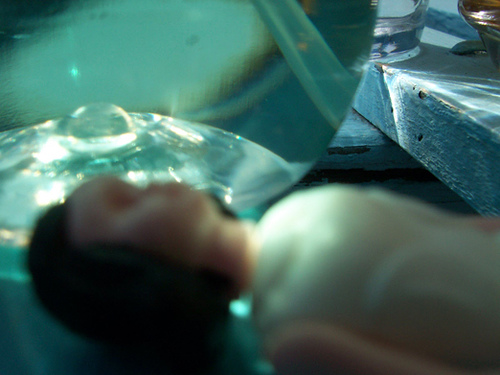 ¿Vas a contracorriente?