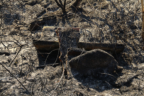 ¿Se te quedó la cruz atravesada en la garganta?