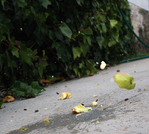 ¿Te va el rollo postapocalíptico?