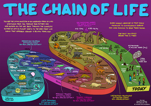 Vaya peñazo la biología…