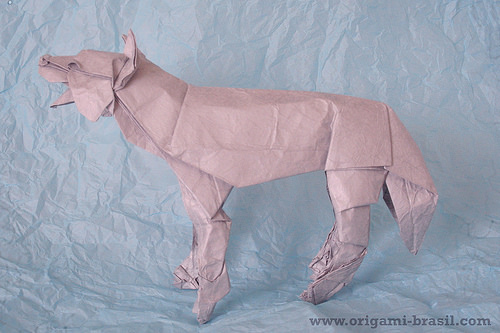 ¿Es el lobo tan fiero como parece?