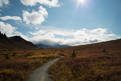 ¿Te adentras en la “wild frontier”?