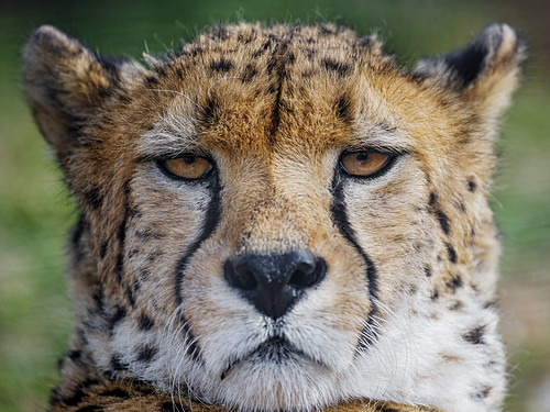 ¿Te lo tomas en serio?