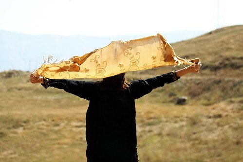 ¿Detectas el viento favorable?