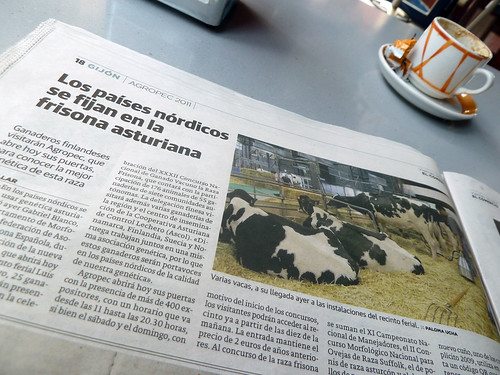 ¿Crees lo que dicen los medios?