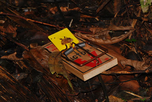 ¿Te quedas atrapado en tu propia trampa?