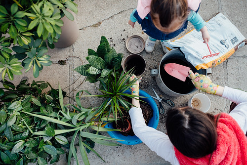 La otra copa (volumen 1)