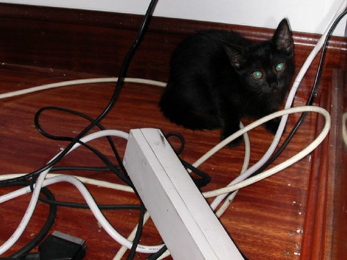 ¿La lías con tus declaraciones?