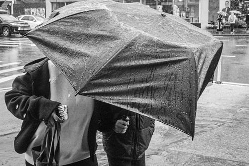 ¿Recoges tempestades?