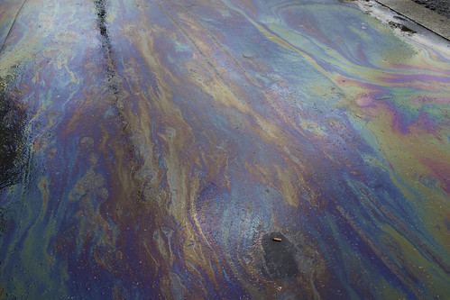 ¿Entiendes el por qué?