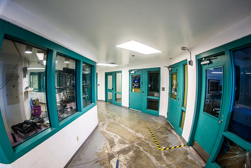 Tercera semana sin deporte (un tercio)