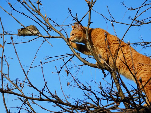 ¿Te va la épica desmesurada?