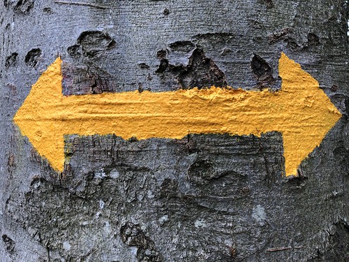 Iniciamos descompresión (aunque no lo veo claro)