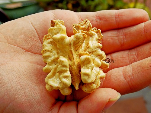 ¿Te dejaste el cerebro al salir de casa?