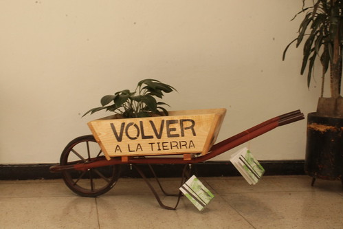 ¿Para qué vuelves?