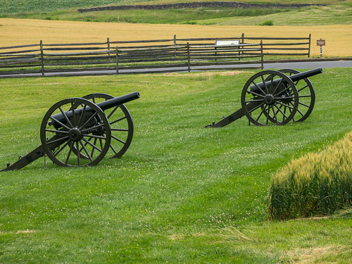 ¿Decides morir matando?