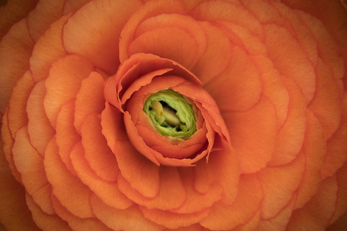 ¿Demasiado serio o demasiado tonto?