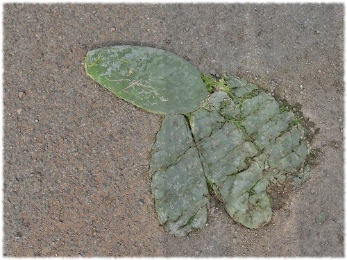 ¿De verdad era una final?