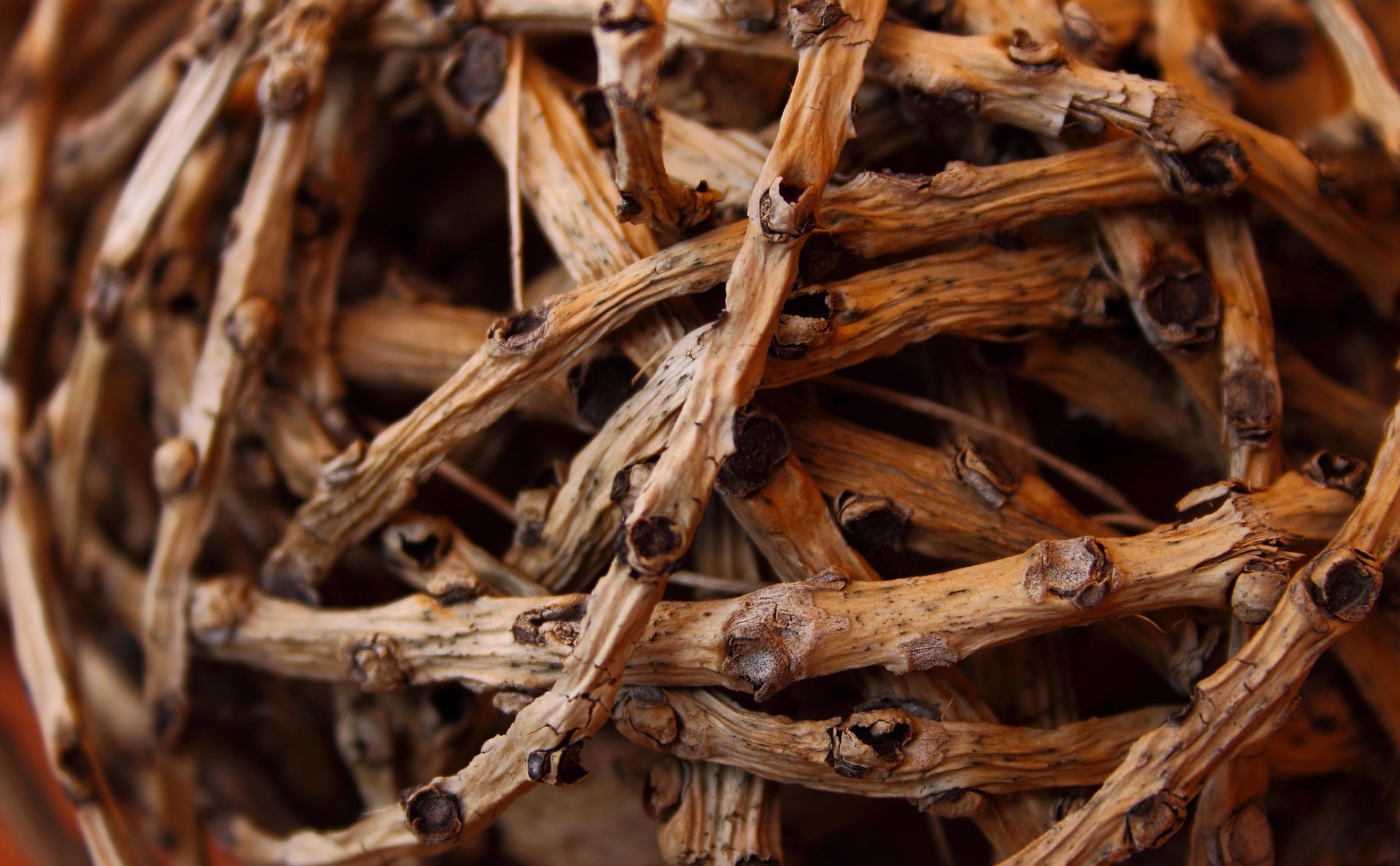 ¿Para qué usas las redes sociales?