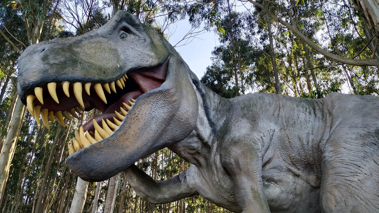 ¿Qué música has puesto para atacar la cumbre?