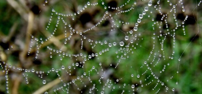 ¿Te comerías el agua?