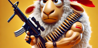 ¿Disparas con bala?