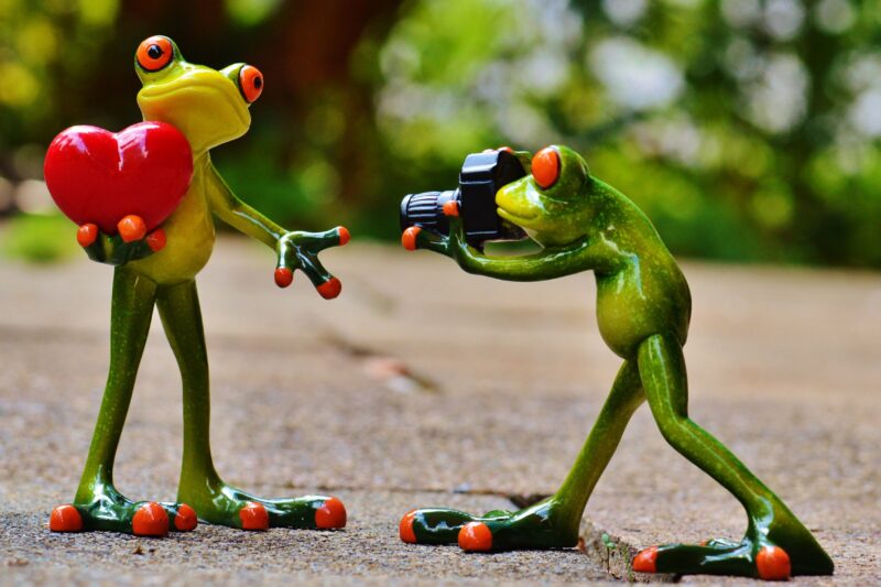 ¿Qué modelo quieres?